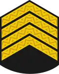 Головний корабельний старшина Holovnyy korabelʹnyy starshyna (Ukrainian Navy)[2]