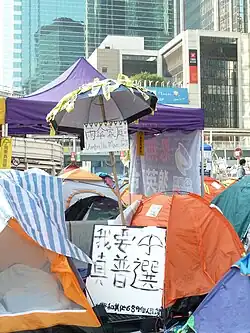 "Umbrella Mansion"