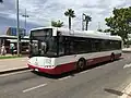 Urban Bus in Alghero