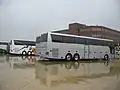 Buses