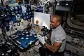 Working on a desk containing a hydroponics plant experiment in Node 2