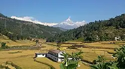 Phedikhola