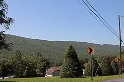 View of a wooded ridge in East Cameron Township