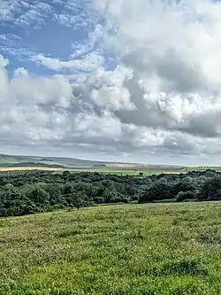 Ashcombe Bottom landscape