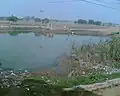 Village main pond