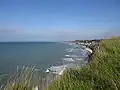 View of the beach