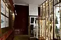 Flora and Fauna room