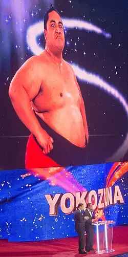 Yokozuna