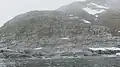 Gentoo penguin colony at southern headland of Waddington Bay