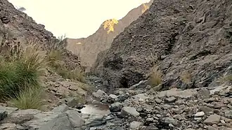 Alt text for image