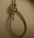Complete the knot