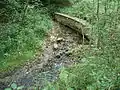 The main source
