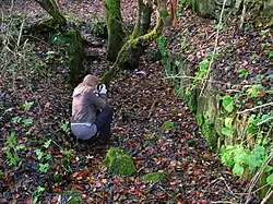 Orry Mill wheel pit