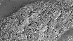 Crommelin crater showing layers and dust devil tracks, as seen by CTX camera (on Mars Reconnaissance Orbiter). Note: this is an enlargement of a previous image of Crommelin crater.