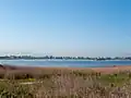 View over the estuary