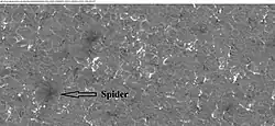 Close-up view of spider among polygons or patterned ground, as seen by HiRISE under HiWish program.