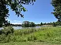 Willow Pond