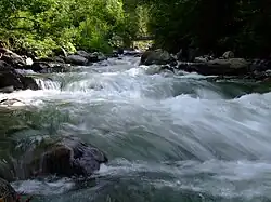 The Ache downstream