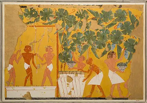 Winemaking
