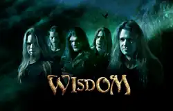 Wisdom in 2013