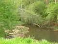 Bear Creek runs southwest of Woodland, Alabama