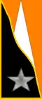 204th Coastal Division Artillery