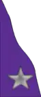 Quartermaster troops