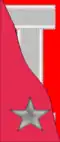 Grenadier medics