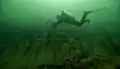 The wreck of the ship of the line Enigheten/Kung Fredrik