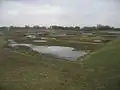 Wildfowl and Wetlands Trust London Wetland Centre