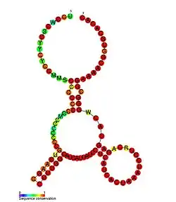 ZEB2_AS1_3: Secondary structure taken from the Rfam database. Family RF01986
